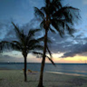 Meet your Posher, Sidney